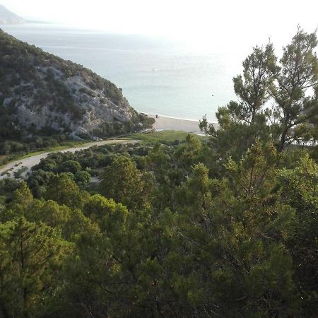 Monolocale Marizzola Apartamento Cala Gonone Exterior foto